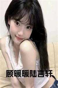 陆言轩顾暖暖
