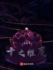 十之维度
